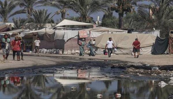 مصادر عربية وغربية تؤكد عزم اجتماع روما على تحقيق وقف لإطلاق النار في غزة