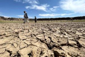 موسم حصاد شحيح.. تقلبات المناخ تهدد الأمن الغذائي في اليمن
