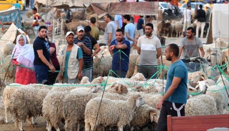 موقف رسمي في تونس بشأن "إلغاء" عيد الأضحى